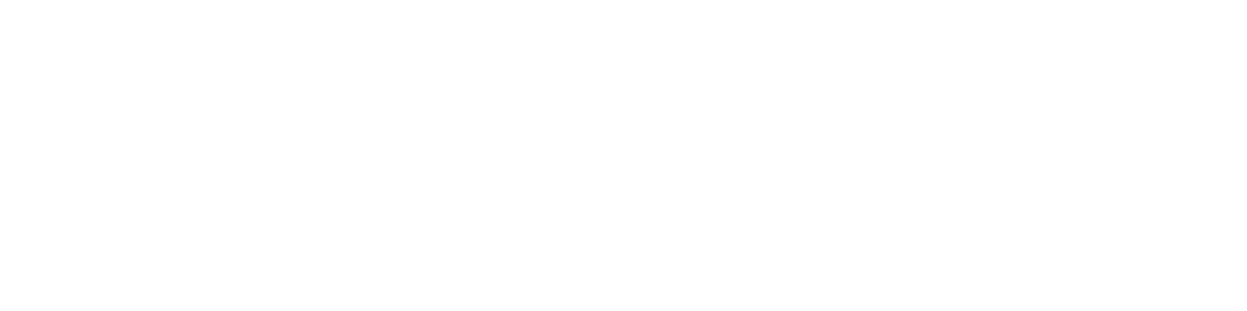 real logo white NiBS-Updated-no-accra-white